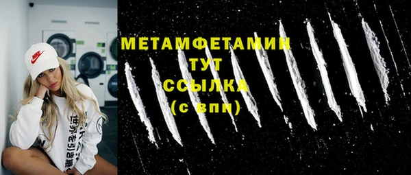 прущие грибы Волоколамск