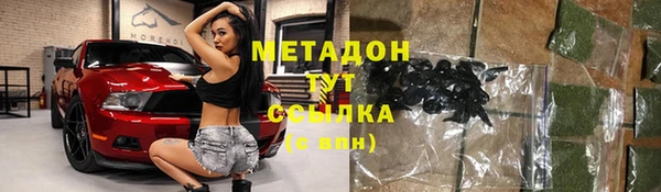 прущие грибы Волоколамск