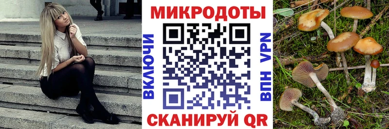 Псилоцибиновые грибы Psilocybe  Новохопёрск 
